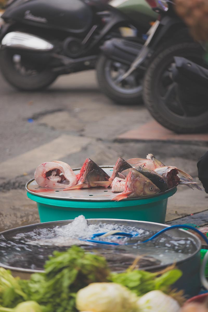 Vietnam Photography